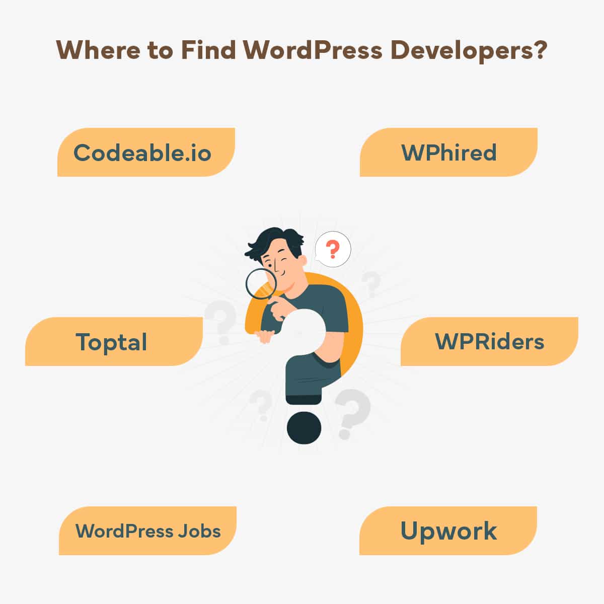 where to find wordpress developers
