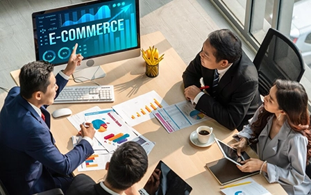 Ecommerce Consulting